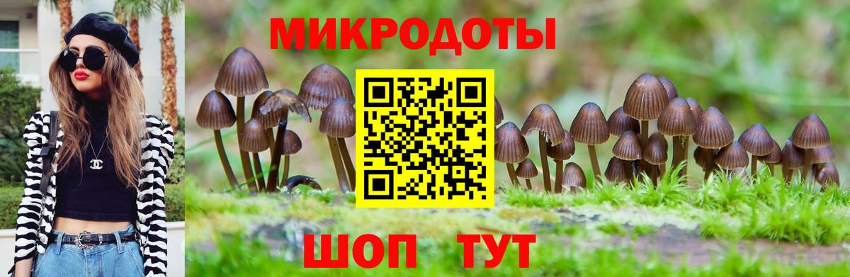 Галлюциногенные грибы GOLDEN TEACHER  Вход с VPN  Йошкар-Ола 
